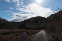 うなぎの寝床 #11137