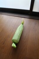 うなぎの寝床 #11173