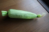 うなぎの寝床 #11174
