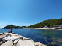 うなぎの寝床 #11178