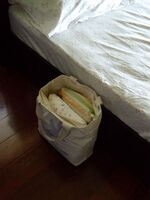 うなぎの寝床 #11184