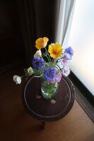 うなぎの寝床 #11202