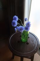 うなぎの寝床 #11203