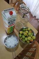 うなぎの寝床 #11218