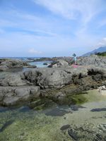 うなぎの寝床 #7081