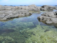 うなぎの寝床 #7082