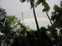三重の虹（3）