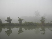 霧（2）