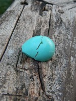 青い卵（3）