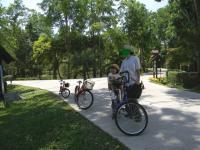家族でサイクリング - Photo No.4