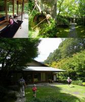 自然を求め北山緑化植物園へ - Photo No.3