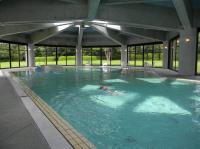 ホテルのプールで水泳教室 - Photo No.8