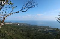 屋久島の師匠と友人（1）